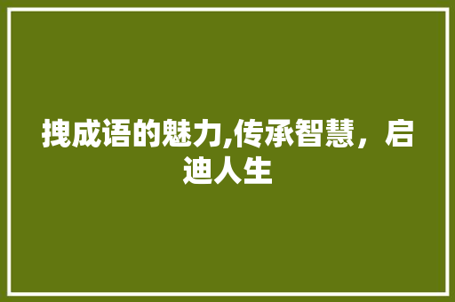拽成语的魅力,传承智慧，启迪人生