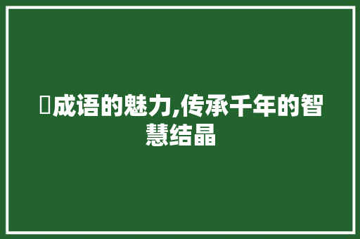 掃成语的魅力,传承千年的智慧结晶