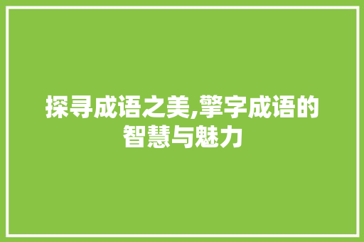 探寻成语之美,擎字成语的智慧与魅力