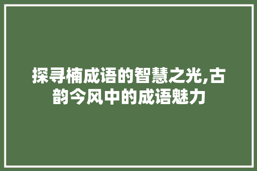 探寻楠成语的智慧之光,古韵今风中的成语魅力