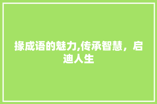 掾成语的魅力,传承智慧，启迪人生