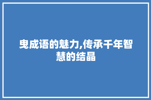 曳成语的魅力,传承千年智慧的结晶