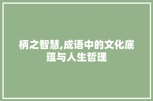 柄之智慧,成语中的文化底蕴与人生哲理