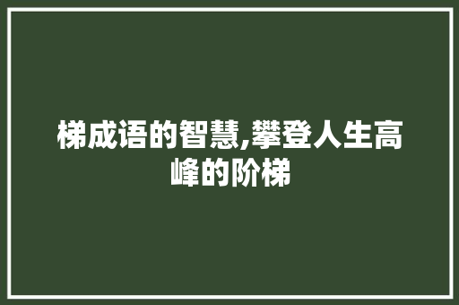 梯成语的智慧,攀登人生高峰的阶梯
