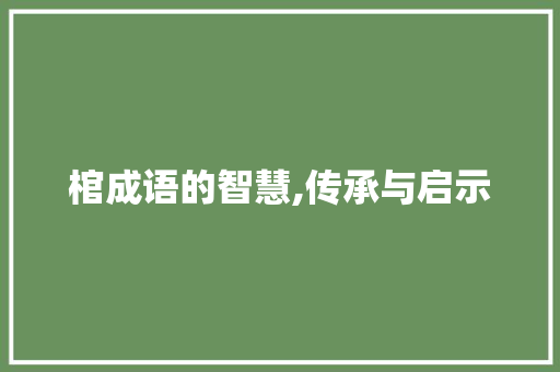 棺成语的智慧,传承与启示