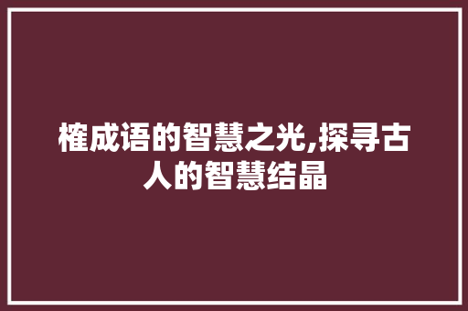 榷成语的智慧之光,探寻古人的智慧结晶
