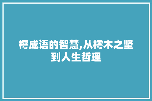 樗成语的智慧,从樗木之坚到人生哲理