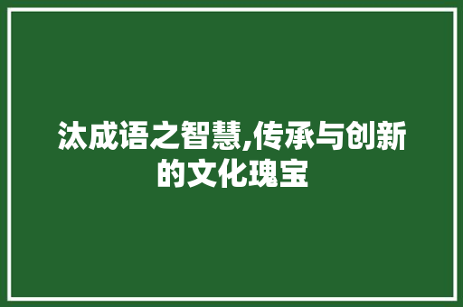 汰成语之智慧,传承与创新的文化瑰宝