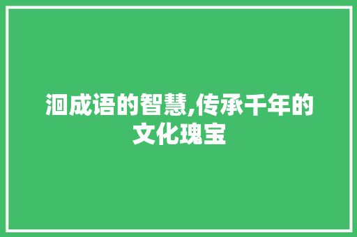 洄成语的智慧,传承千年的文化瑰宝