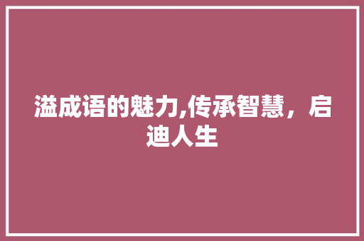 溢成语的魅力,传承智慧，启迪人生