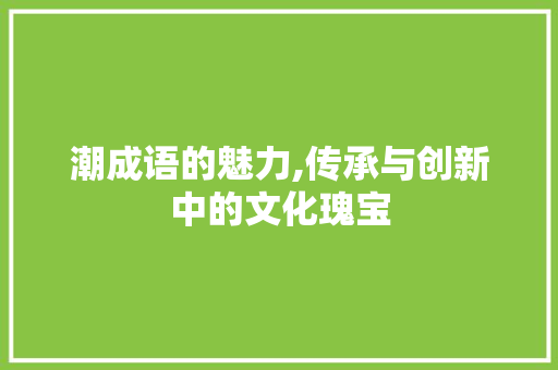 潮成语的魅力,传承与创新中的文化瑰宝