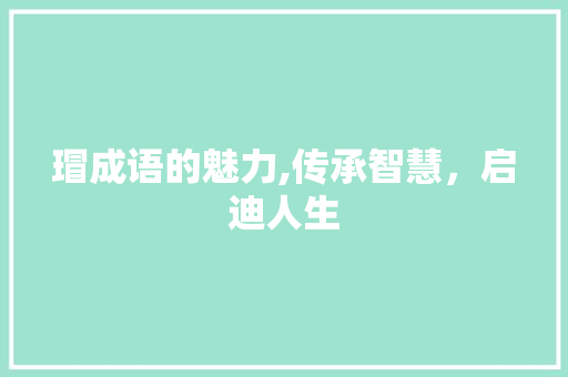 瑁成语的魅力,传承智慧，启迪人生