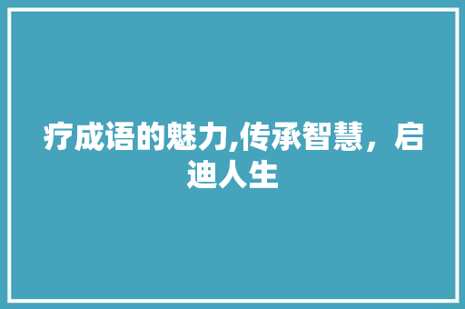 疗成语的魅力,传承智慧，启迪人生