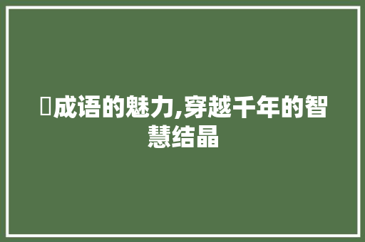 竅成语的魅力,穿越千年的智慧结晶