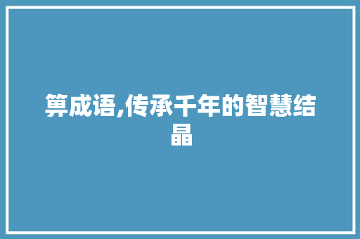 箅成语,传承千年的智慧结晶