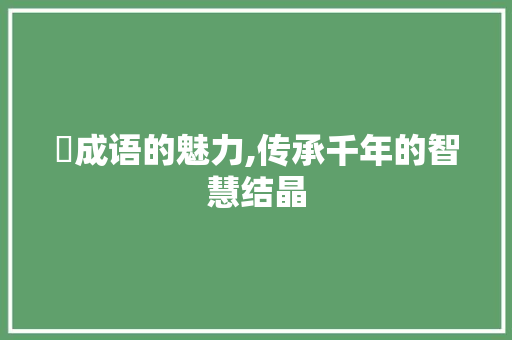 絫成语的魅力,传承千年的智慧结晶