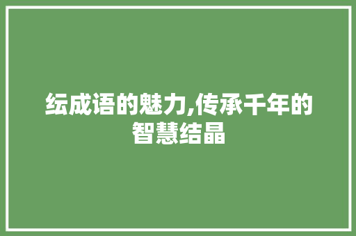 纭成语的魅力,传承千年的智慧结晶