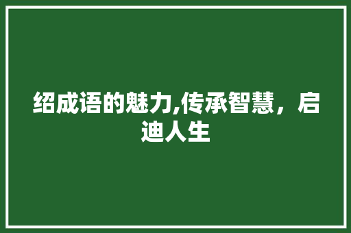 绍成语的魅力,传承智慧，启迪人生
