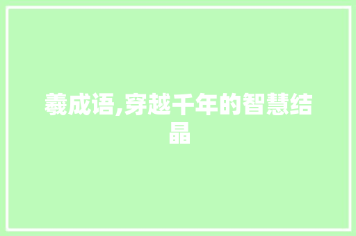 羲成语,穿越千年的智慧结晶