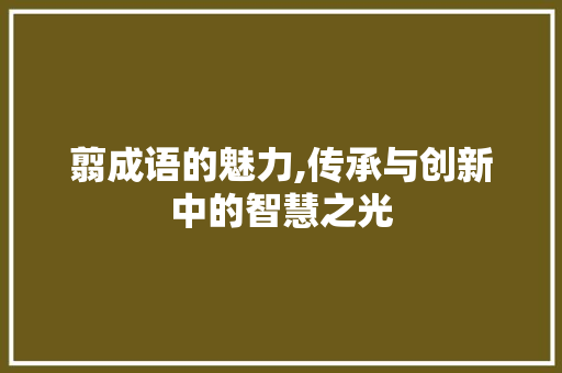 翦成语的魅力,传承与创新中的智慧之光