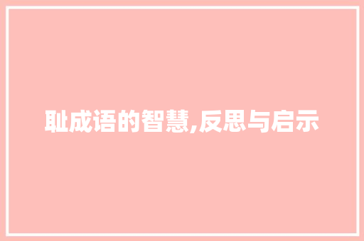 耻成语的智慧,反思与启示