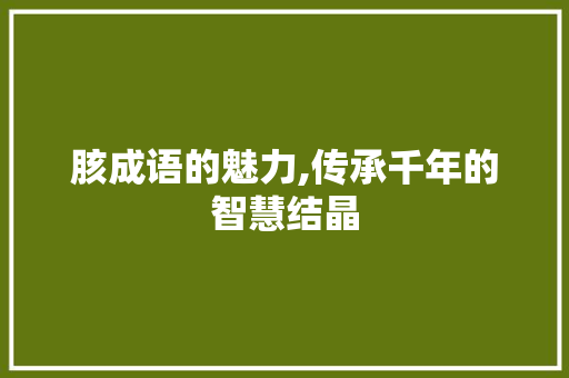 胲成语的魅力,传承千年的智慧结晶