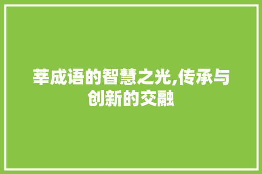 莘成语的智慧之光,传承与创新的交融