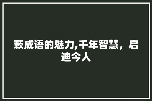 蔌成语的魅力,千年智慧，启迪今人