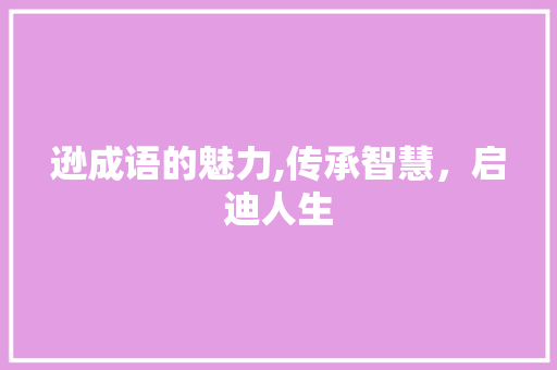 逊成语的魅力,传承智慧，启迪人生