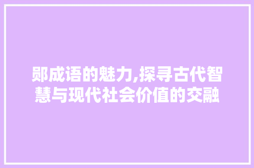 郧成语的魅力,探寻古代智慧与现代社会价值的交融