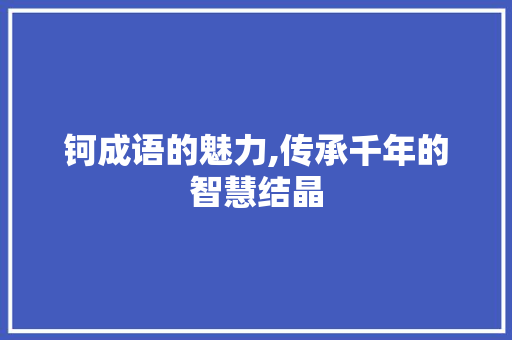 钶成语的魅力,传承千年的智慧结晶