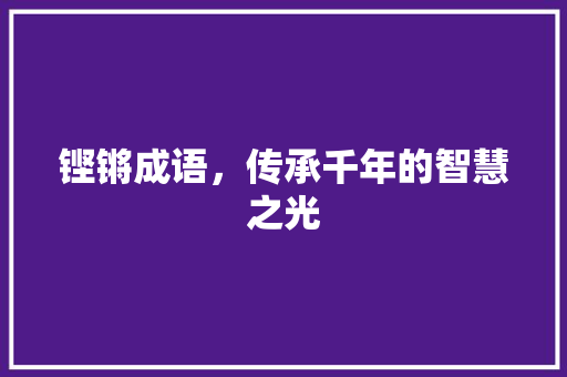 铿锵成语，传承千年的智慧之光