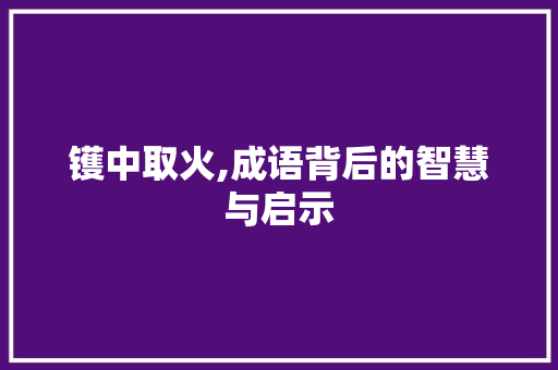 镬中取火,成语背后的智慧与启示
