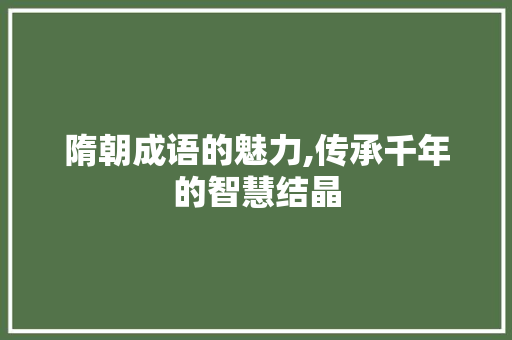 隋朝成语的魅力,传承千年的智慧结晶