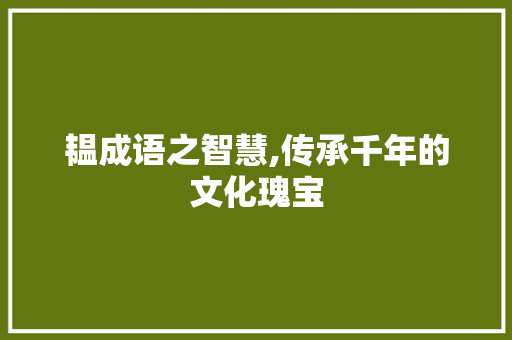 韫成语之智慧,传承千年的文化瑰宝