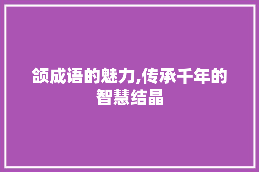 颌成语的魅力,传承千年的智慧结晶