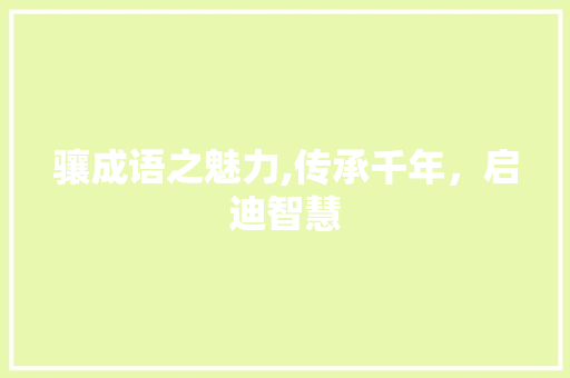 骧成语之魅力,传承千年，启迪智慧