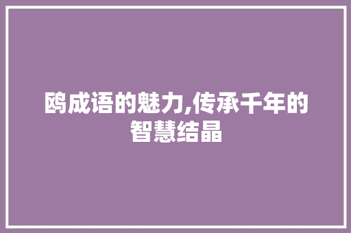 鸥成语的魅力,传承千年的智慧结晶