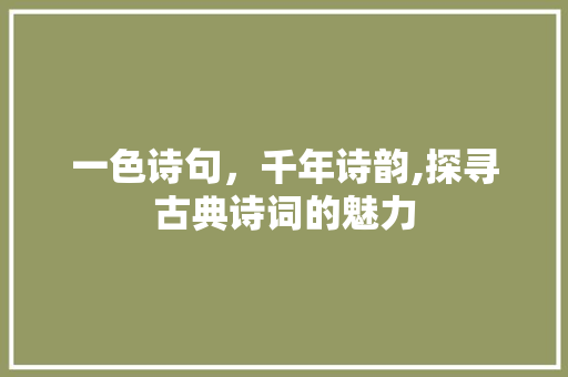 一色诗句，千年诗韵,探寻古典诗词的魅力