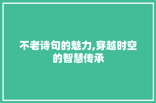 不老诗句的魅力,穿越时空的智慧传承