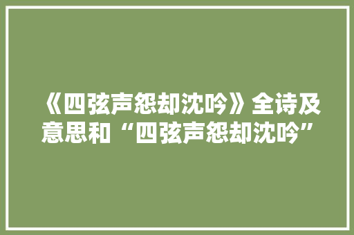 《四弦声怨却沈吟》全诗及意思和“四弦声怨却沈吟”的拼音注释