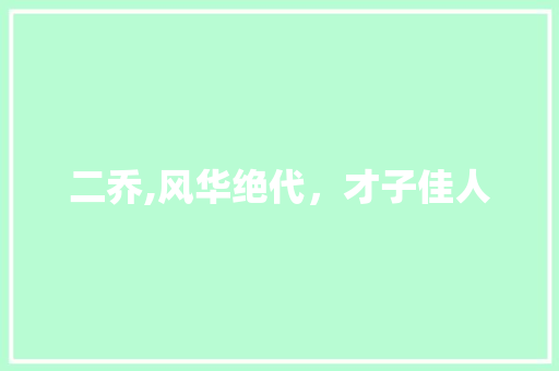 二乔,风华绝代，才子佳人