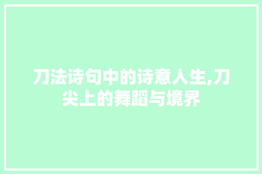 刀法诗句中的诗意人生,刀尖上的舞蹈与境界