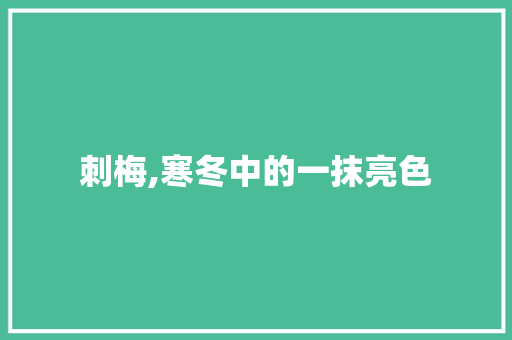 刺梅,寒冬中的一抹亮色