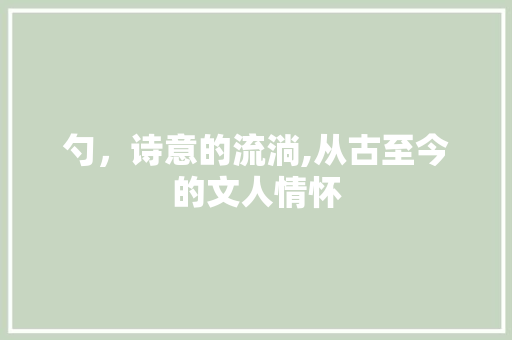 勺，诗意的流淌,从古至今的文人情怀