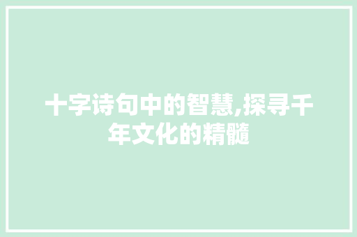 十字诗句中的智慧,探寻千年文化的精髓