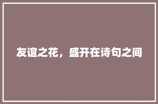 友谊之花，盛开在诗句之间