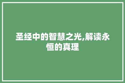 圣经中的智慧之光,解读永恒的真理 诗词体裁