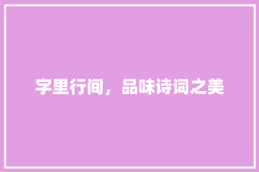 字里行间，品味诗词之美