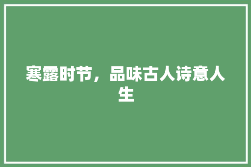 寒露时节，品味古人诗意人生